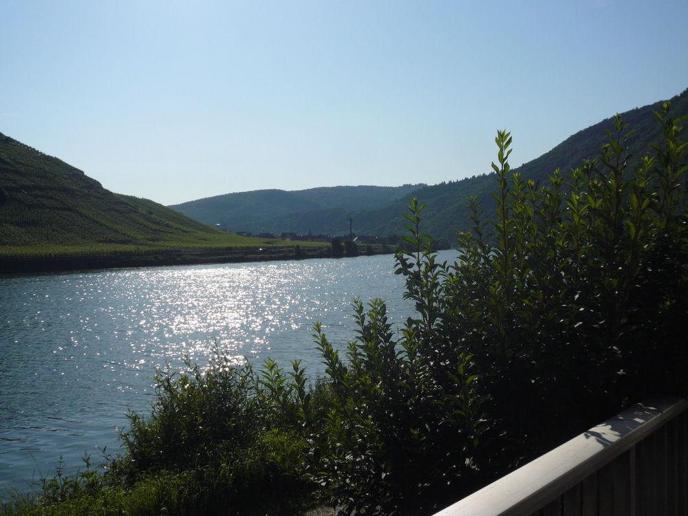Mosel-Landhaus Am Moselufer B&B Briedern Exterior photo